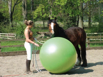 Paardenvoetbal 85, 95 en 120 cm 